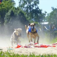 Clubsiegerrennen 2019
