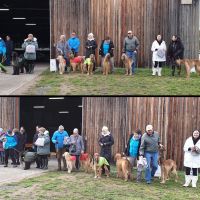Verabschiedung der Hunde, die in ihrer letzten Rennsaison sind