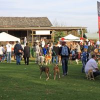 Abtraining 2015 Abtraining 2015