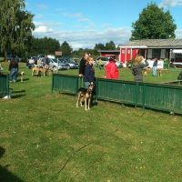 Oktoberfeststimmung beim Sonntagstraining Oktoberfeststimmung beim Sonntagstraining