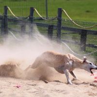 Trainingsauftakt 2015 Trainingsauftakt 2015