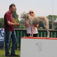 Mainbogentropfen Mainbogentropfen