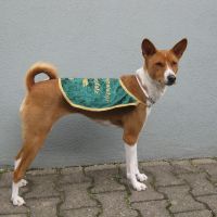 Grasbahnmeisterschaft Oberhausen Grasbahnmeisterschaft Oberhausen