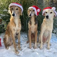 Weihnachten_3 Weihnachten_3